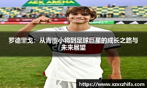 mksport体育